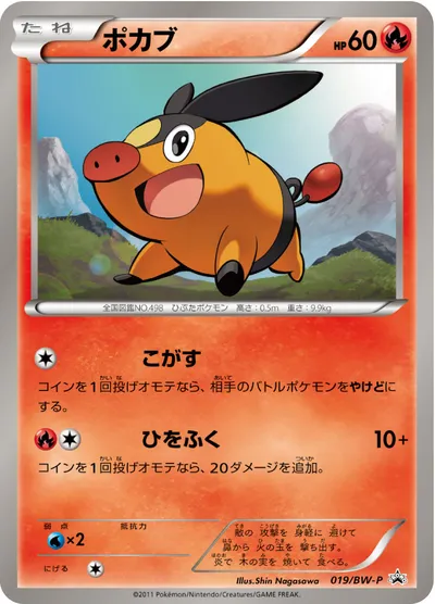 【ポケモンカード】「ポカブ」の買取相場とカード情報｜BWP(019/BW-P)