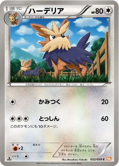 【ポケモンカード】C「ハーデリア」の買取相場とカード情報｜BW6-Bc(052/059)