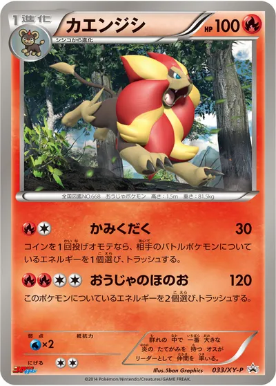 【ポケモンカード】「カエンジシ」の買取相場とカード情報｜XYP(033/XY-P)