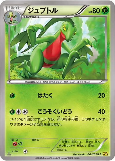 【ポケモンカード】C「ジュプトル」の買取相場とカード情報｜XY5-Bg(004/070)