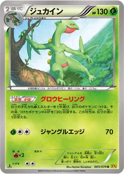 【ポケモンカード】U「ジュカイン」の買取相場とカード情報｜XY5-Bg(005/070)