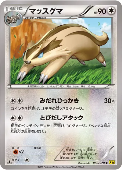 【ポケモンカード】C「マッスグマ」の買取相場とカード情報｜XY5-Bg(056/070)