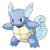 ポケモンチャンピオンズ_カメール