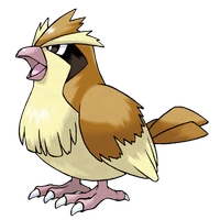 ポケモンチャンピオンズ_ポッポ