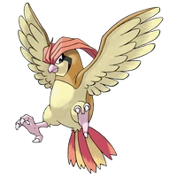 ポケモンチャンピオンズ_ピジョン