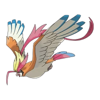 ポケモン_メガピジョット