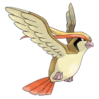 ポケモンチャンピオンズ_ピジョット