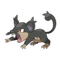 ポケモンチャンピオンズ_アローラコラッタ