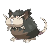 ポケモンチャンピオンズ_アローララッタ