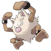 ポケモンチャンピオンズ_オコリザル