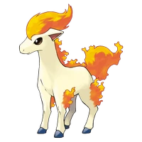 ポケモンチャンピオンズ_ポニータ