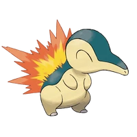 ポケモンチャンピオンズ_ヒノアラシ