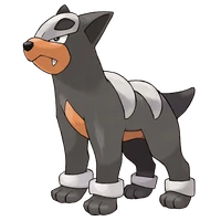 ポケモンチャンピオンズ_デルビル