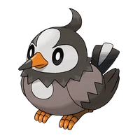 ポケモンチャンピオンズ_ムックル