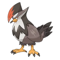 ポケモンチャンピオンズ_ムクホーク