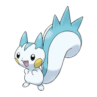 ポケモンチャンピオンズ_パチリス