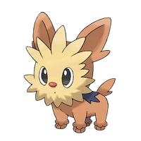 ポケモンチャンピオンズ_ヨーテリー