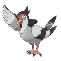 ポケモンチャンピオンズ_ハトーボー