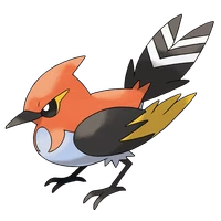 ポケモンチャンピオンズ_ヒノヤコマ