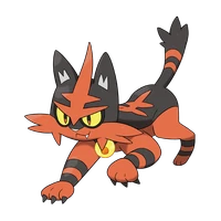 ポケモンチャンピオンズ_ニャヒート