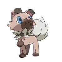 ポケモンチャンピオンズ_イワンコ