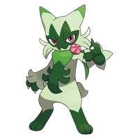 ポケモンチャンピオンズ_ニャローテ