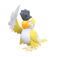 ポケモンチャンピオンズ_イキリンコ(イエローフェザー)