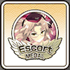 Escortメダル_アイコン