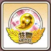共闘メダル59:L