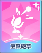 ステラソラ_豆鉄砲草