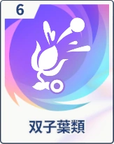 ステラソラ_双子葉類