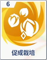 ステラソラ_促成栽培