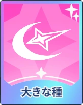 ステラソラ_大きな種