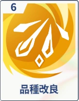 ステラソラ_品種改良