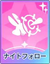 ステラソラ_ナイトフォロー