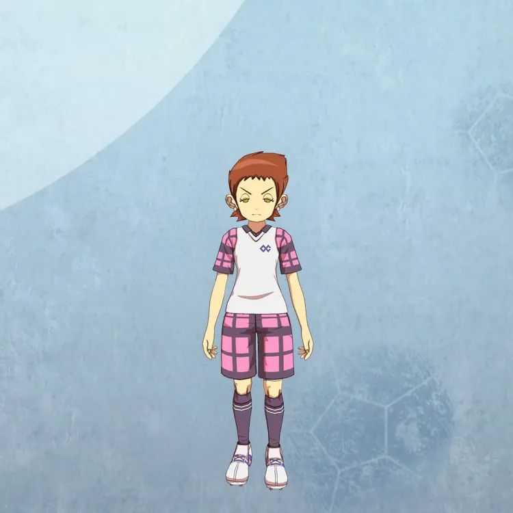 イナイレV_岸和田 祭