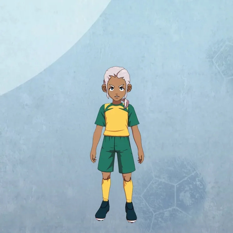 イナイレV_オクタ・パースン