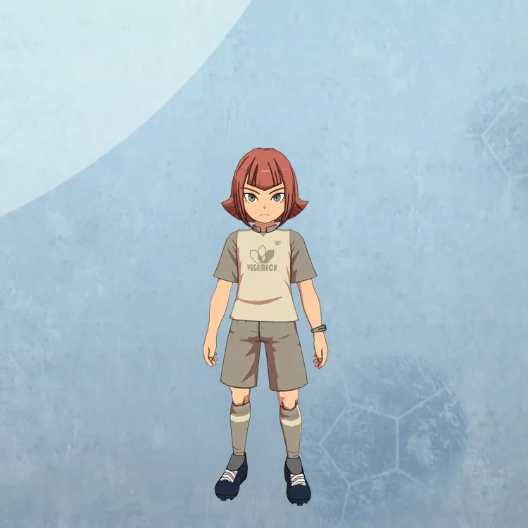 イナイレV_下鶴 改