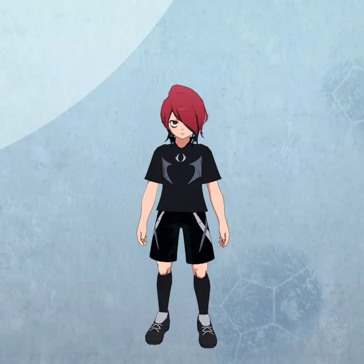 イナイレV_花丸屋 数