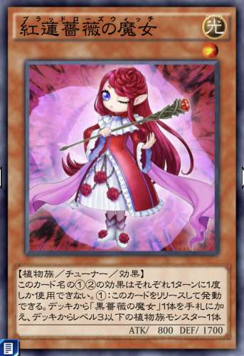 紅蓮薔薇の魔女のカード画像