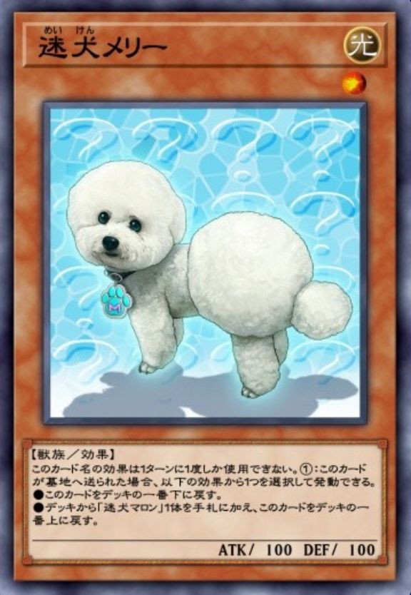 迷犬メリーのカード画像