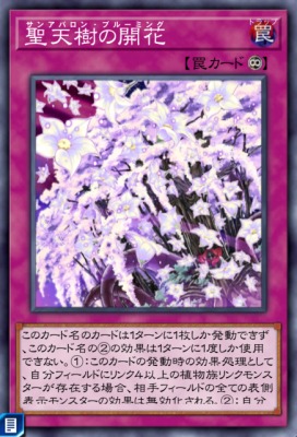 聖天樹の開花のカード画像