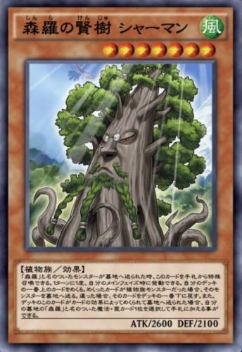 森羅の賢樹 シャーマンのカード画像