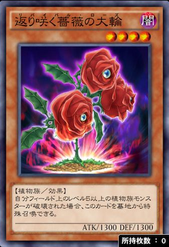 遊戯王デュエルリンクス 返り咲く薔薇の大輪のステータスと入手方法 Appmedia