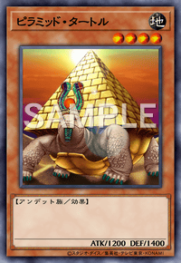 ピラミッド・タートル