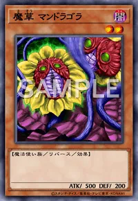 遊戯王マスターデュエル_魔草 マンドラゴラ