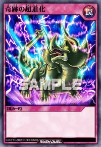 【デュエルリンクス】 奇跡の超進化の入手方法と採用デッキ【ラッシュデュエル】