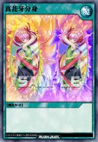 【デュエルリンクス】 真花牙分身の入手方法と採用デッキ【ラッシュデュエル】