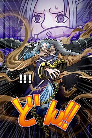 サウスト スナスナの実 の能力の評価とステータス Appmedia