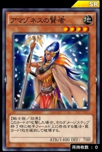 アマゾネスの賢者